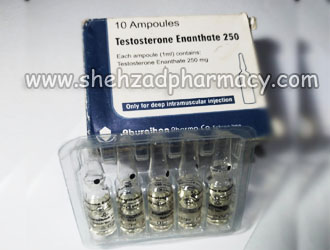 Test E Irani 10 (Not Verified)